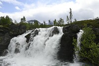 _DSC0700