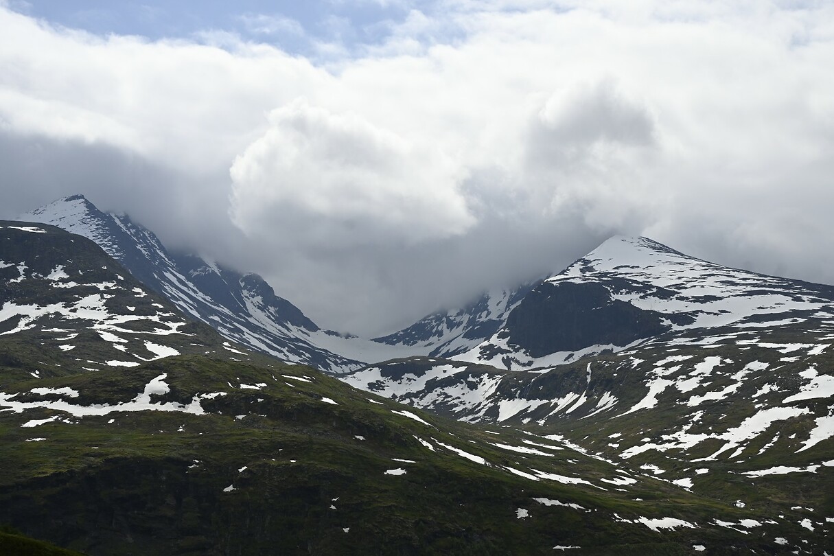 _DSC0704