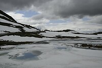 _DSC0712