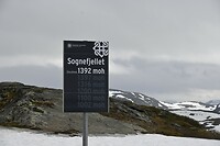 _DSC0721