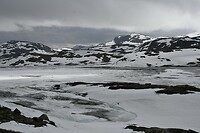 _DSC0723