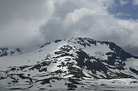 _DSC0724