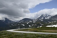_DSC0731