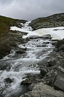 _DSC0733
