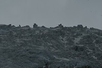 _DSC7042