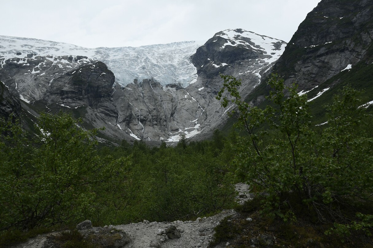 _DSC7055