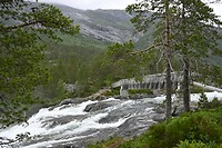 _DSC0749