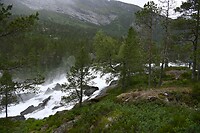 _DSC0750