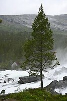_DSC0751