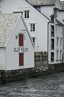 _DSC0788
