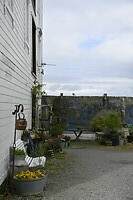 _DSC0796