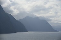 _DSC0811
