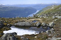 _DSC0886