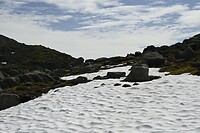 _DSC0889