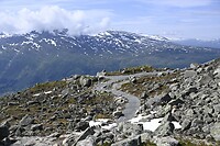 _DSC0893
