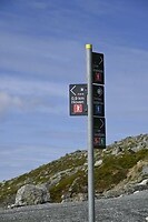 _DSC0894