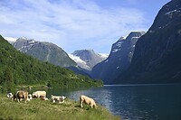_DSC0927