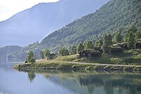 _DSC0940