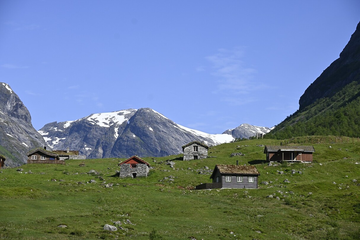 _DSC0952