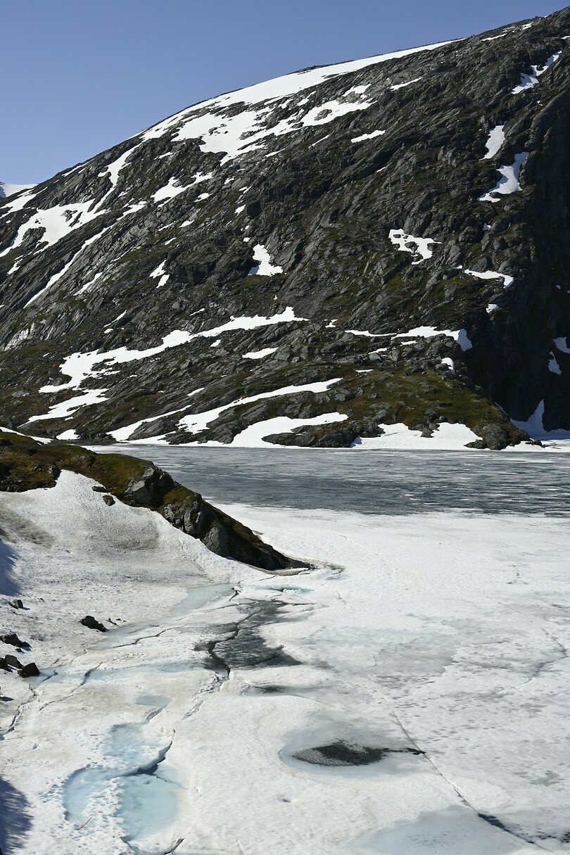 _DSC0955