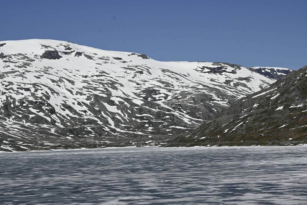 _DSC0957