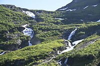 _DSC0958