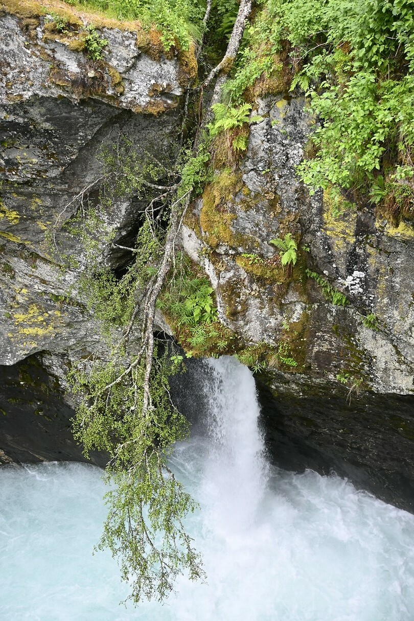 _DSC1067