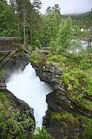 _DSC1069