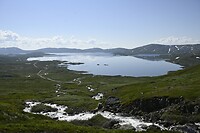 _DSC1106