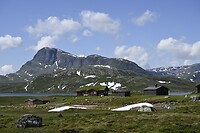 _DSC1116