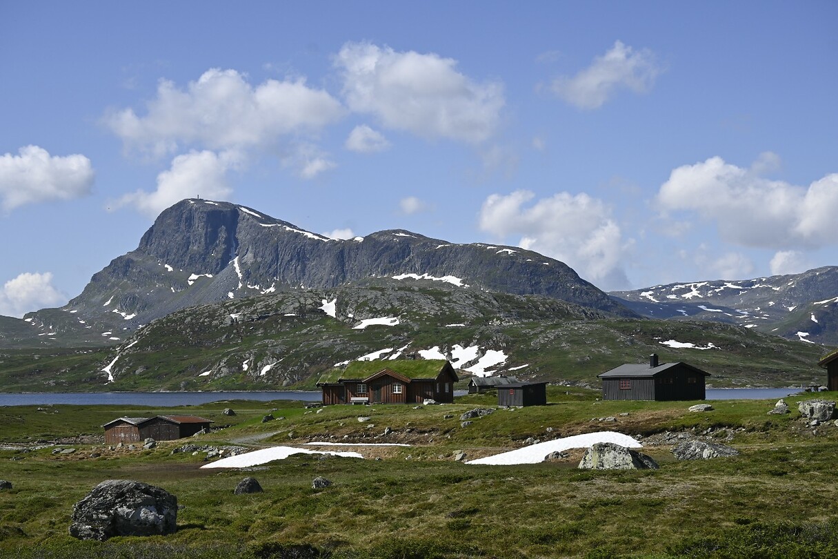 _DSC1116