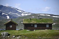 _DSC1119