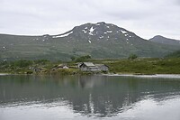_DSC1134