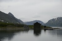 _DSC1135