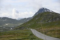 _DSC1137