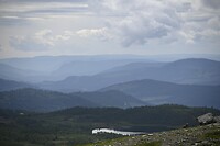_DSC1143