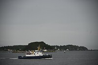 _DSC1151