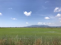Amposta