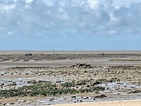 Het wad