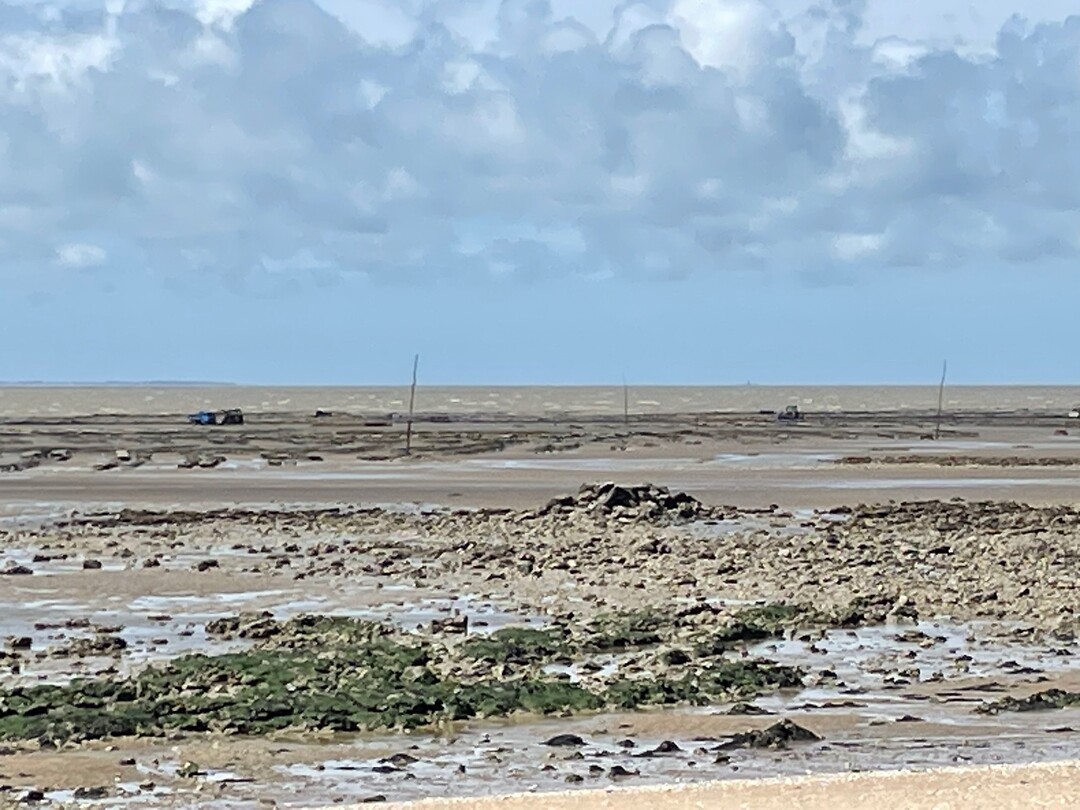 Het wad