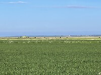 Waddenzee (Rømø op de achtergrond)