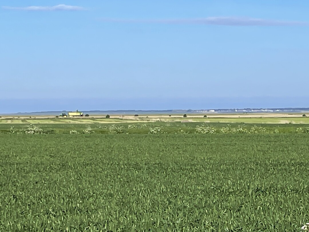 Waddenzee (Rømø op de achtergrond)