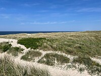 Duinen