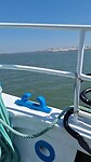 De Portugeze Ferry