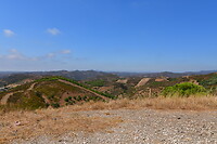 DSC_0830