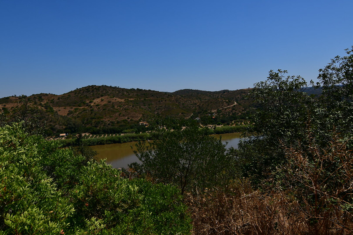 DSC_0820