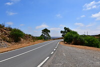DSC_0832