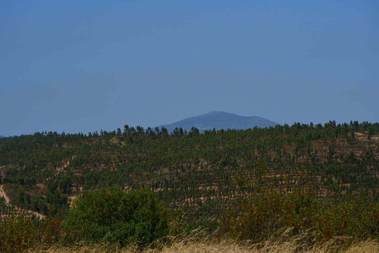 DSC_0851
