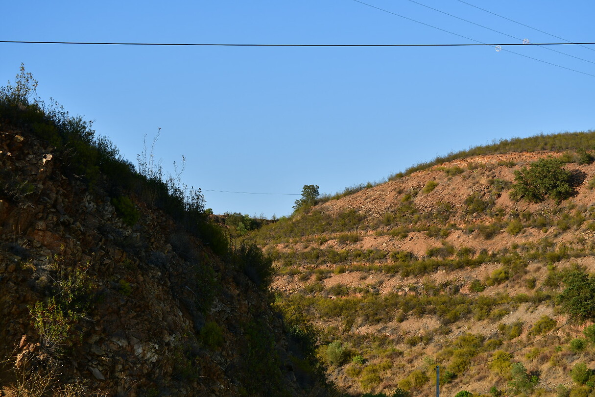 DSC_0875
