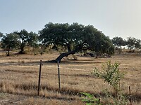 20260907_085418